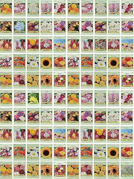 Black Duck Set of 500 Flower Seed Packets! Flower Seeds in Bulk - Best Value Seeds - Great for Classrooms, Beginner Gardeners and Kids! - Deluxe Varieties! (500)